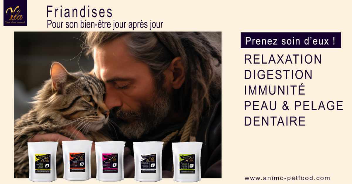 friandises-pour-chat-sans-cereales-ni-gluten